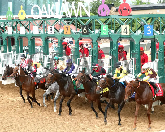 PRINCESS ALIYAH - The Valley Of The Vapors Stakes - 04-19-25 - R10 - OP - Start 04 Oaklawn Park