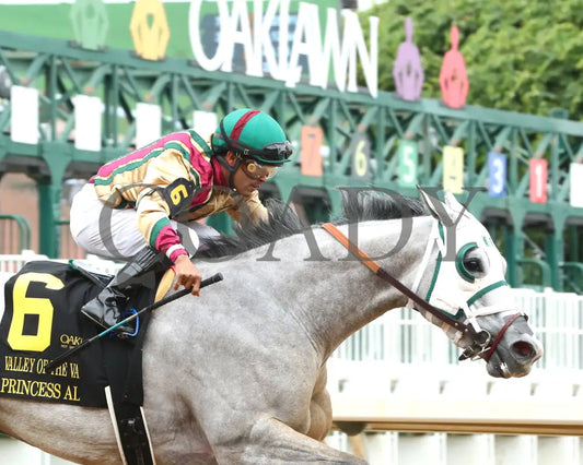 PRINCESS ALIYAH - The Valley Of The Vapors Stakes - 04-19-25 - R10 - OP - Tight Finish 01 Oaklawn Park