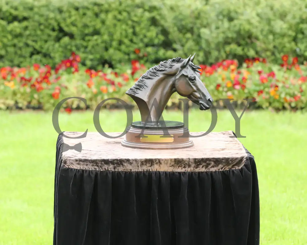 PRINCESS ALIYAH - The Valley Of The Vapors Stakes - 04-19-25 - R10 - OP - Trophy 01 Oaklawn Park