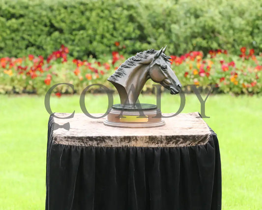 PRINCESS ALIYAH - The Valley Of The Vapors Stakes - 04-19-25 - R10 - OP - Trophy 01 Oaklawn Park