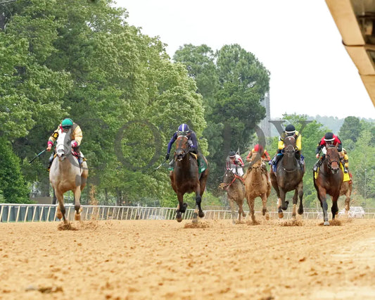 PRINCESS ALIYAH - The Valley Of The Vapors Stakes - 04-19-25 - R10 - OP - Under Rail 01 Oaklawn Park