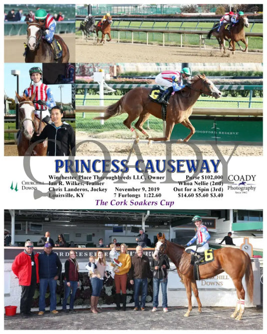 Princess Causeway - 11-09-19 R06 Cd Churchill Downs
