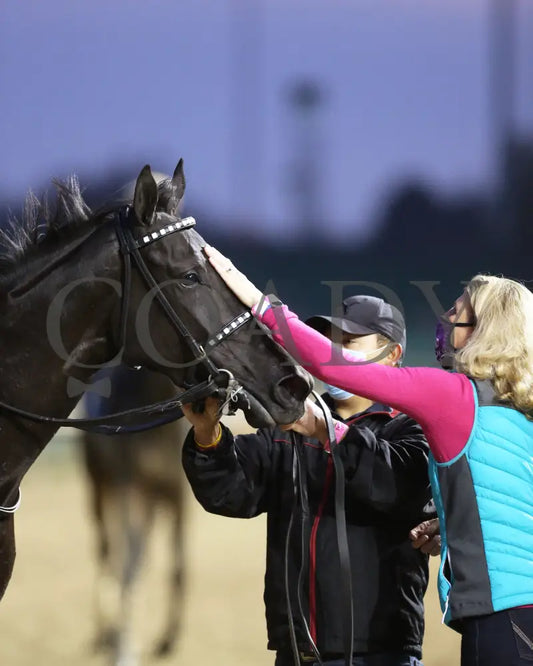Princess Grace - The Mrs. Revere G2 30Th Running 11-14-20 R10 Cd Come Back 01 Churchill Downs