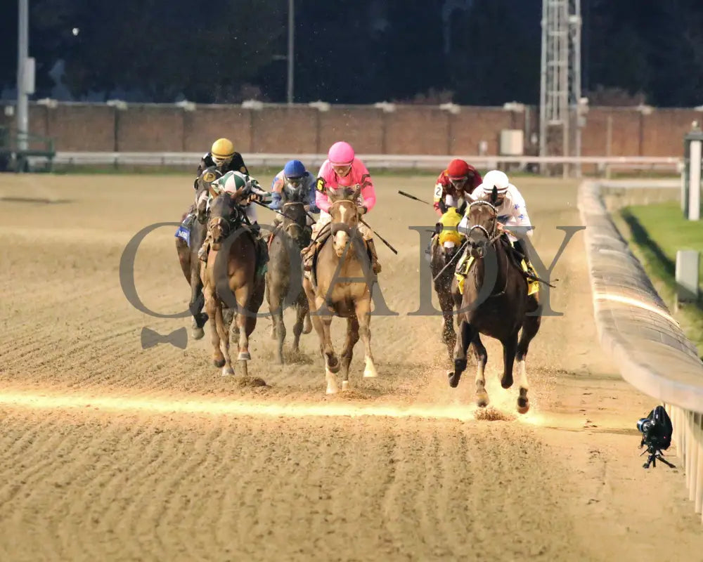 Princess Grace - The Mrs. Revere G2 30Th Running 11-14-20 R10 Cd Head On 01 Churchill Downs