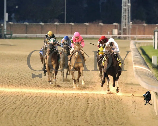 Princess Grace - The Mrs. Revere G2 30Th Running 11-14-20 R10 Cd Head On 01 Churchill Downs