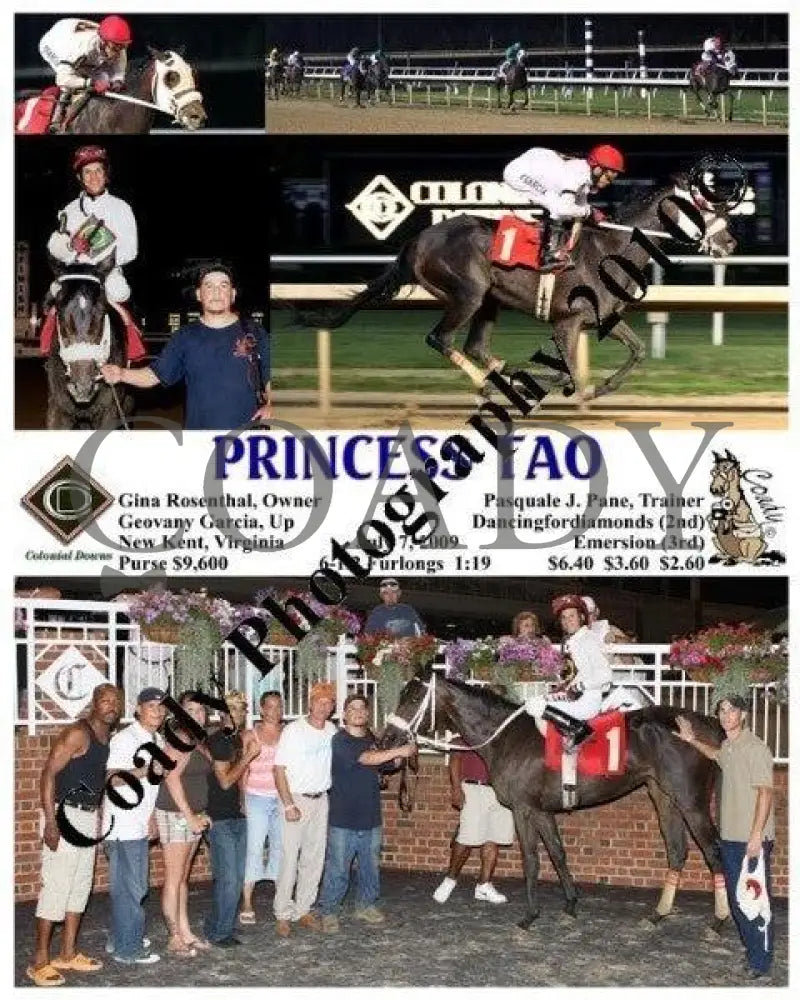 Princess Tao - 7 2009 Colonial Downs