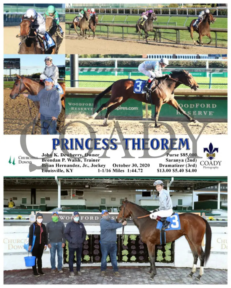 Princess Theorem - 10-30-20 R10 Cd Churchill Downs