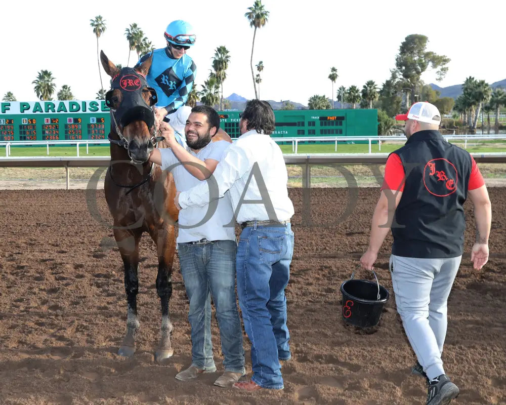 Principe Carlo - Hank Mills Sr Stakes 01-27-24 R08 Turf Paradise Return Shot