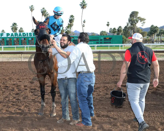Principe Carlo - Hank Mills Sr Stakes 01-27-24 R08 Turf Paradise Return Shot