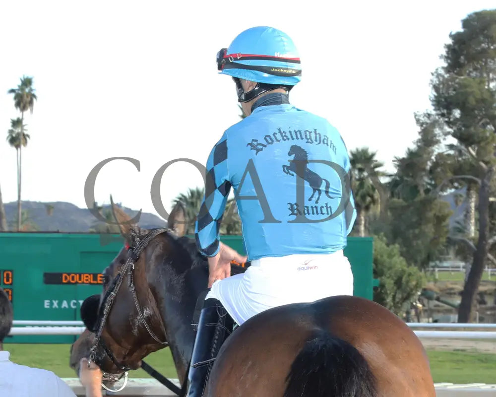 Principe Carlo - Hank Mills Sr Stakes 01-27-24 R08 Turf Paradise Silks