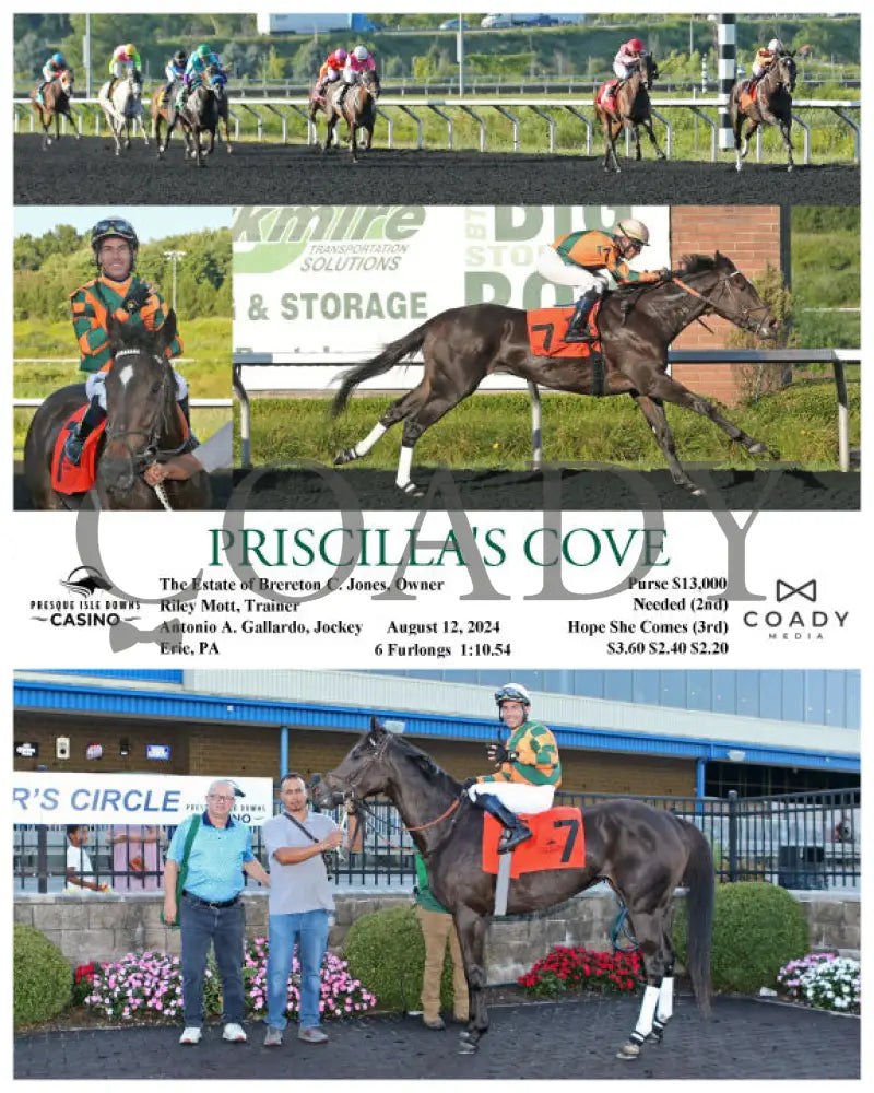 Priscilla’s Cove - 08-12-24 R09 Pid Presque Isle Downs