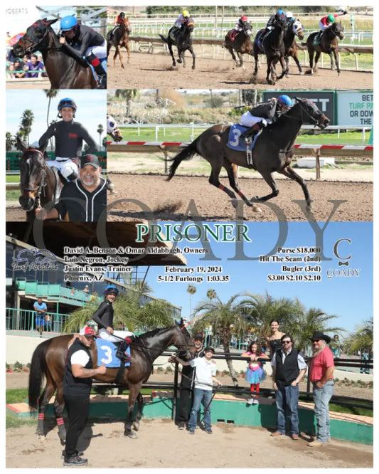 Prisoner - 02-19-24 R03 Tup Turf Paradise