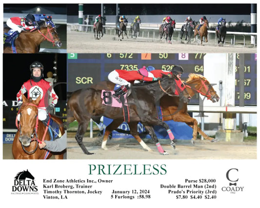 Prizeless - 01-12-24 R07 Ded Delta Downs