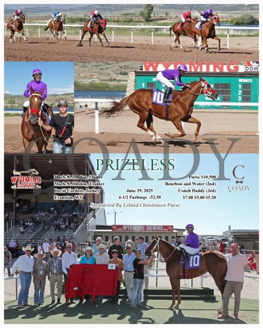 PRIZELESS - 06-29-25 - R09 - WYO Wyoming Downs
