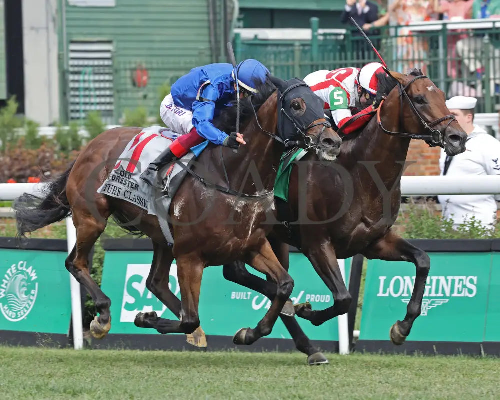 Program Trading - Old Forester Bourbon Turf Classic G1 38Th Running Finish 02 Churchill Downs