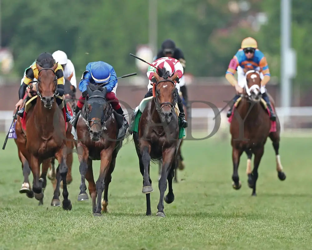 Program Trading - Old Forester Bourbon Turf Classic G1 38Th Running Head On 01 Churchill Downs