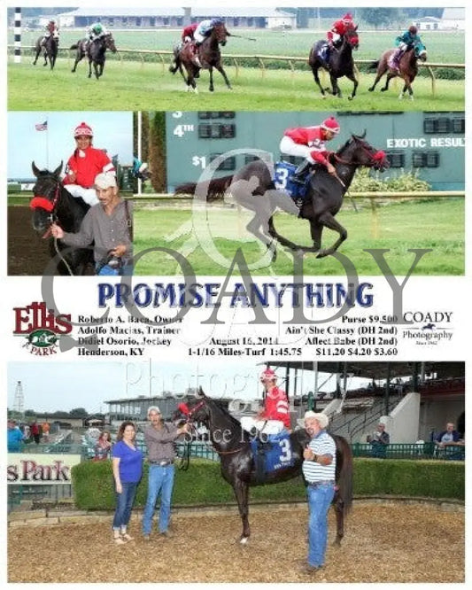 Promise Anything - 081614 Race 09 Elp Ellis Park