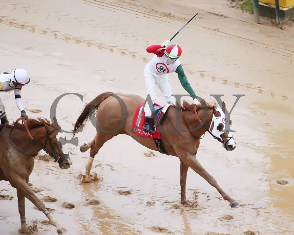 Promise Keeper - The Fifth Season Stakes 35Th Running 01-27-24 R09 Op Aerial Finish 02 Oaklawn Park