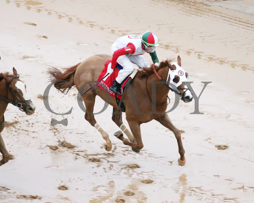 Promise Keeper - The Fifth Season Stakes 35Th Running 01-27-24 R09 Op Aerial Finish 01 Oaklawn Park