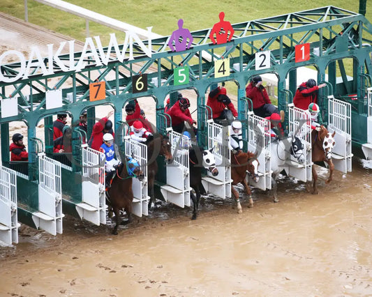 Promise Keeper - The Fifth Season Stakes 35Th Running 01-27-24 R09 Op Aerial Start 01 Oaklawn Park