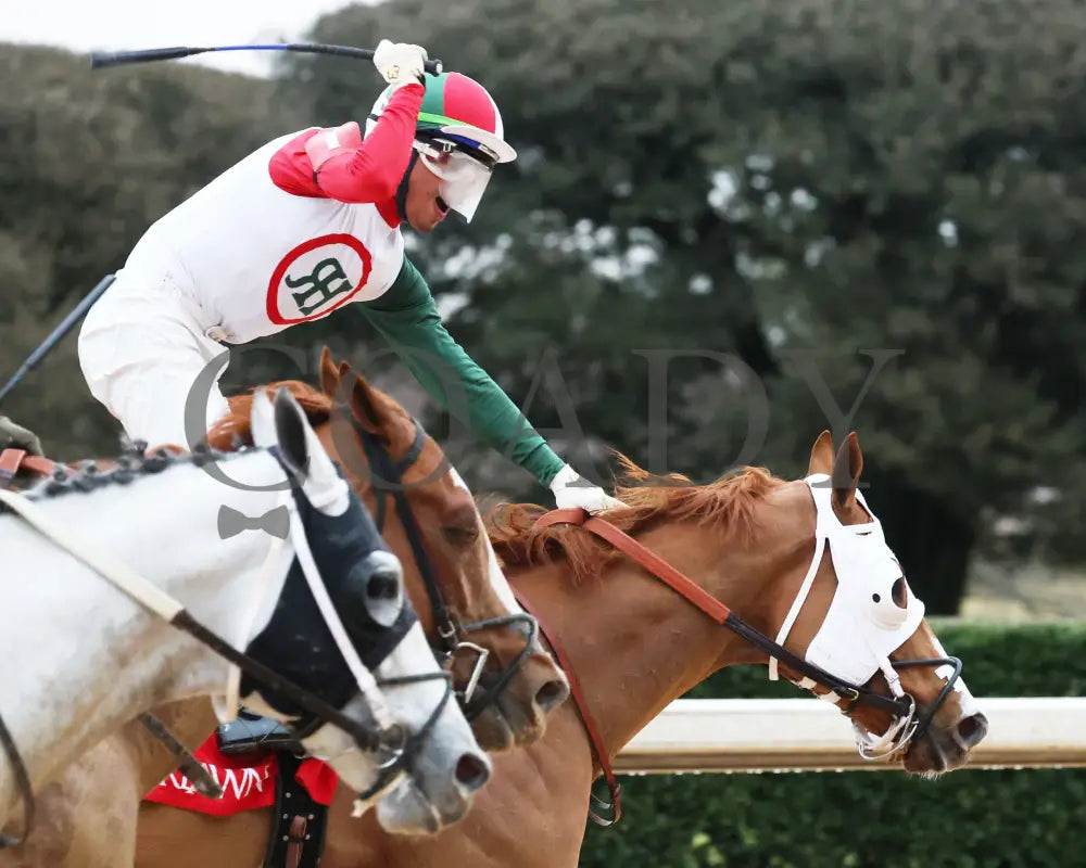 Promise Keeper - The Fifth Season Stakes 35Th Running 01-27-24 R09 Op Celebration 01 Oaklawn Park
