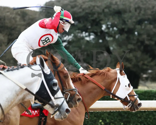 Promise Keeper - The Fifth Season Stakes 35Th Running 01-27-24 R09 Op Celebration 01 Oaklawn Park