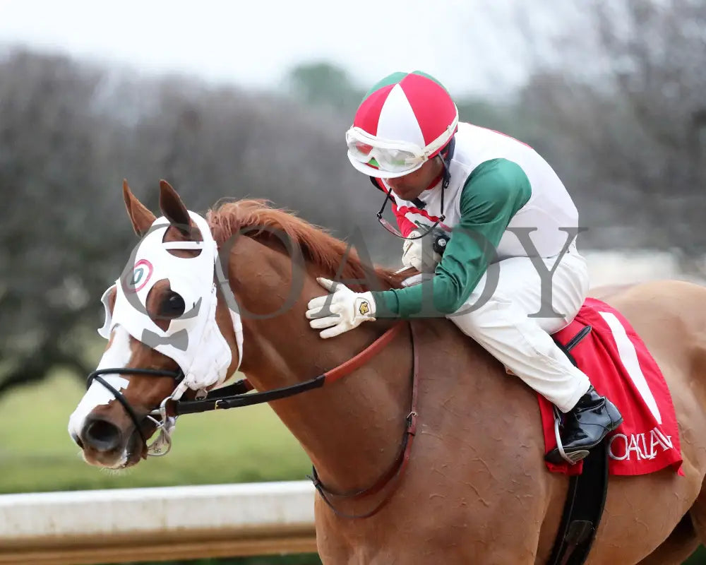 Promise Keeper - The Fifth Season Stakes 35Th Running 01-27-24 R09 Op Come Back 01 Oaklawn Park