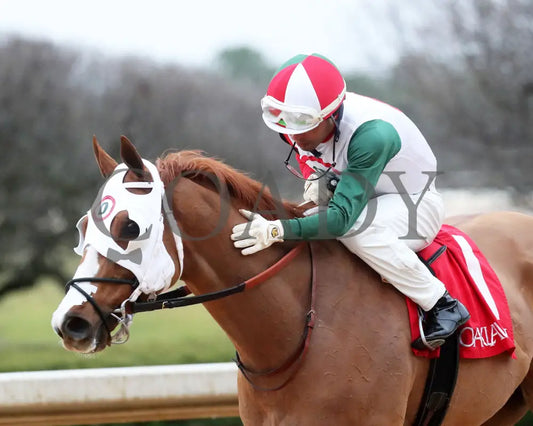 Promise Keeper - The Fifth Season Stakes 35Th Running 01-27-24 R09 Op Come Back 01 Oaklawn Park