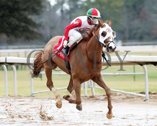 Promise Keeper - The Fifth Season Stakes 35Th Running 01-27-24 R09 Op Finish 02 Oaklawn Park