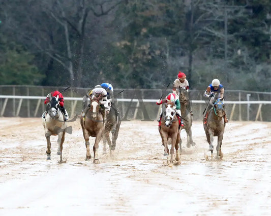 Promise Keeper - The Fifth Season Stakes 35Th Running 01-27-24 R09 Op Head On 01 Oaklawn Park