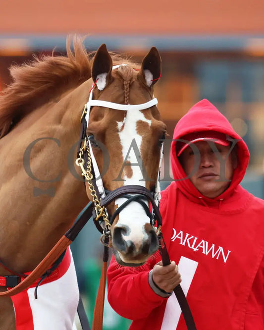 Promise Keeper - The Fifth Season Stakes 35Th Running 01-27-24 R09 Op Paddock 02 Oaklawn Park
