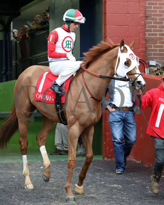 Promise Keeper - The Fifth Season Stakes 35Th Running 01-27-24 R09 Op Paddock 03 Oaklawn Park