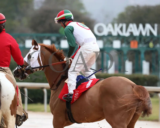 Promise Keeper - The Fifth Season Stakes 35Th Running 01-27-24 R09 Op Post Parade 02 Oaklawn Park
