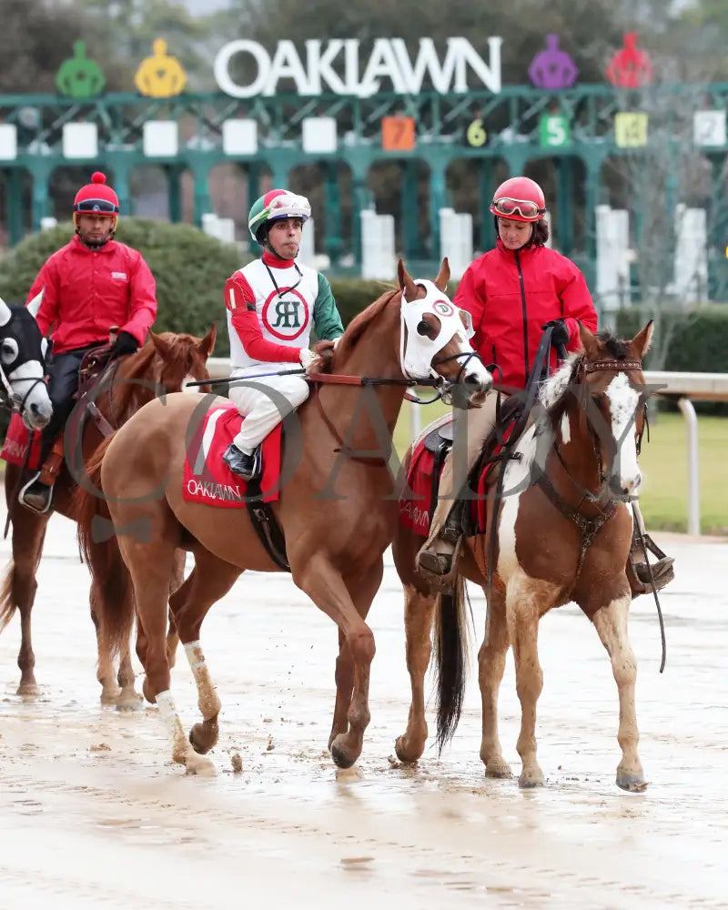 Promise Keeper - The Fifth Season Stakes 35Th Running 01-27-24 R09 Op Post Parade 01 Oaklawn Park