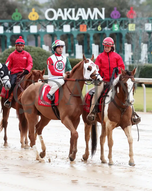 Promise Keeper - The Fifth Season Stakes 35Th Running 01-27-24 R09 Op Post Parade 01 Oaklawn Park