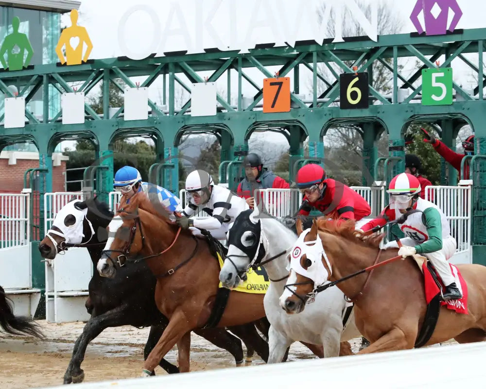Promise Keeper - The Fifth Season Stakes 35Th Running 01-27-24 R09 Op Start 02 Oaklawn Park