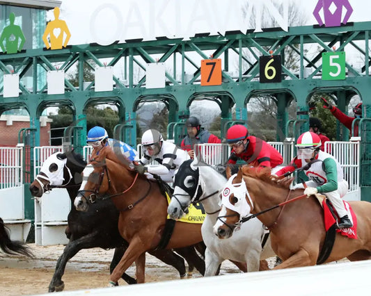 Promise Keeper - The Fifth Season Stakes 35Th Running 01-27-24 R09 Op Start 02 Oaklawn Park