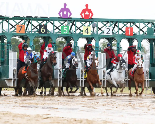 Promise Keeper - The Fifth Season Stakes 35Th Running 01-27-24 R09 Op Start 01 Oaklawn Park