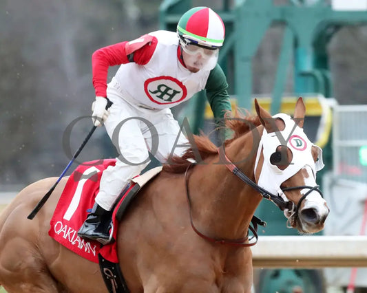 Promise Keeper - The Fifth Season Stakes 35Th Running 01-27-24 R09 Op Tight Finish 02 Oaklawn Park