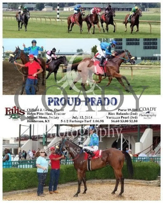 Proud Prado - 071214 Race 09 Elp Ellis Park