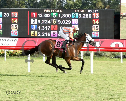 PUBLIC DEFENDER - The Nellie Mae Cox Handicap - 09-13-25 - CNL - Finish 01 - Coady Media - Kurtis Coady Photography