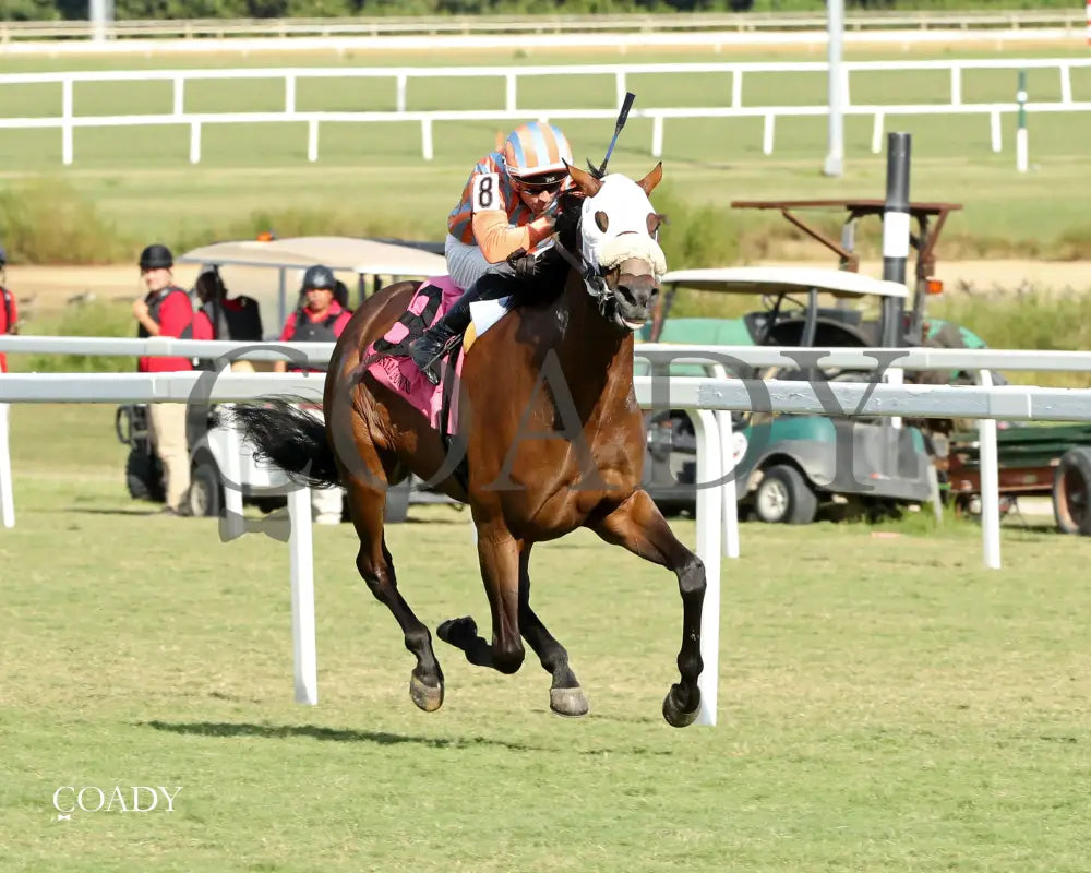 PUBLIC DEFENDER - The Nellie Mae Cox Handicap - 09-13-25 - CNL - Finish 02 - Coady Media - Kurtis Coady Photography