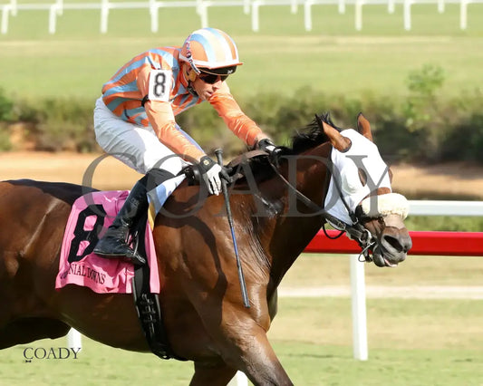 PUBLIC DEFENDER - The Nellie Mae Cox Handicap - 09-13-25 - CNL - Finish 03 - Coady Media - Kurtis Coady Photography
