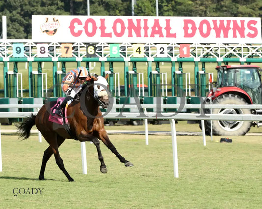 PUBLIC DEFENDER - The Nellie Mae Cox Handicap - 09-13-25 - CNL - Finish 04 - Coady Media - Kurtis Coady Photography