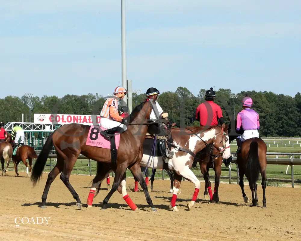 PUBLIC DEFENDER - The Nellie Mae Cox Handicap - 09-13-25 - CNL - Post Parade 01 - Coady Media - Kurtis Coady Photography