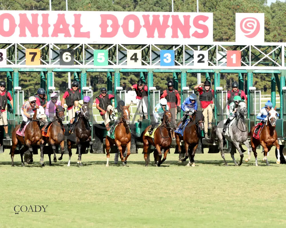 PUBLIC DEFENDER - The Nellie Mae Cox Handicap - 09-13-25 - CNL - Start 01 - Coady Media - Kurtis Coady Photography
