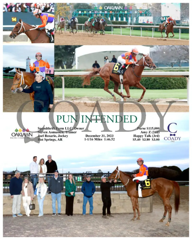 Pun Intended - 12-31-23 R10 Op Oaklawn Park
