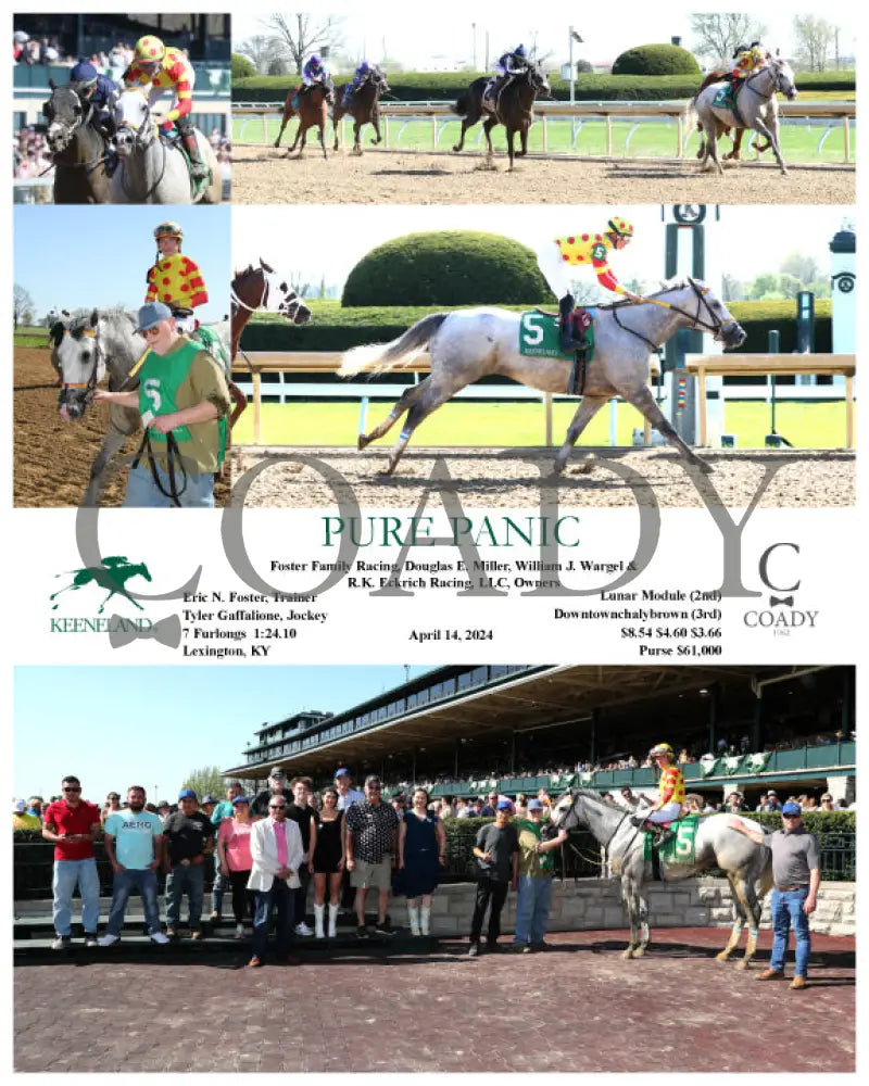 Pure Panic - 04 - 14 - 24 R08 Kee Keeneland