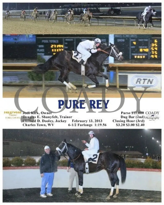 Pure Rey - 021313 Race 04 Ct Hollywood Casino At Charles Town Races
