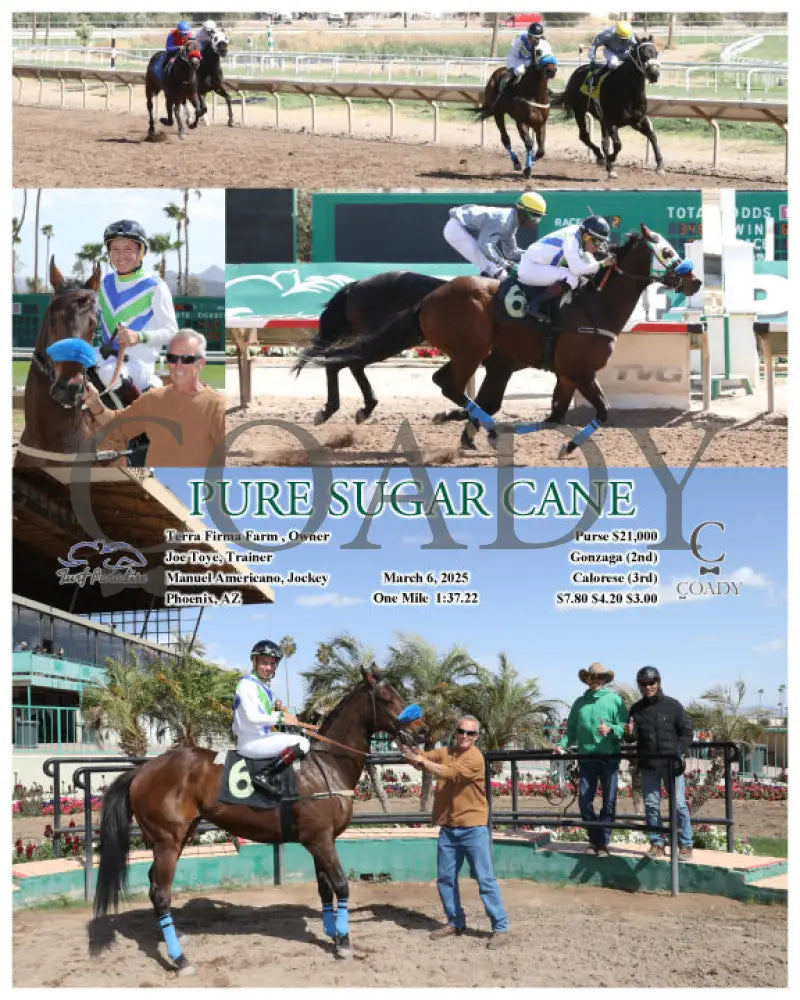 PURE SUGAR CANE - 03-06-25 - R02 - TUP Turf Paradise
